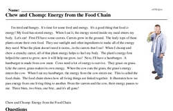 Print <i>Chew and Chomp: Energy from the Food Chain</i> reading comprehension.