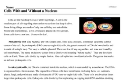 Print <i>Cells With and Without a Nucleus</i> reading comprehension.