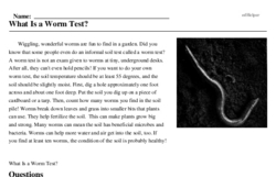 Print <i>What Is a Worm Test?</i> reading comprehension.