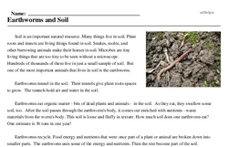 Print <i>Earthworms and Soil</i> reading comprehension.