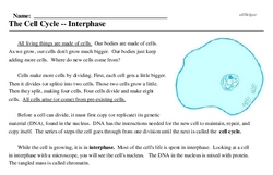 Print <i>The Cell Cycle -- Interphase</i> reading comprehension.