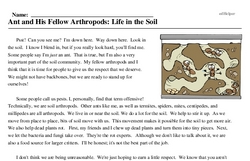 Print <i>Ant and His Fellow Arthropods: Life in the Soil</i> reading comprehension.