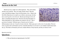 Print <i>Bacteria in the Soil</i> reading comprehension.
