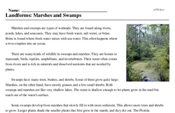Print <i>Landforms: Marshes and Swamps</i> reading comprehension.