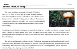 Print <i>Animal, Plant, or Fungi?</i> reading comprehension.