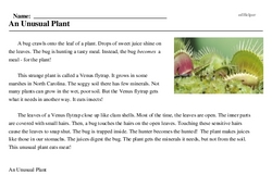 Print <i>An Unusual Plant</i> reading comprehension.