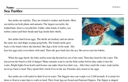 Print <i>Sea Turtles</i> reading comprehension.