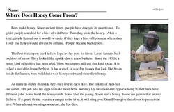Print <i>Where Does Honey Come From?</i> reading comprehension.