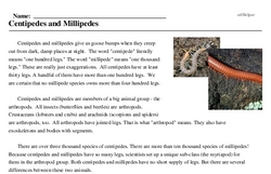 Print <i>Centipedes and Millipedes</i> reading comprehension.