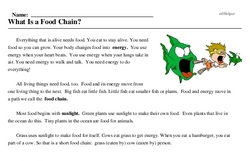 Print <i>What Is a Food Chain?</i> reading comprehension.