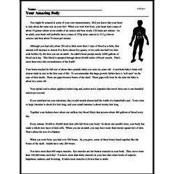 Your Amazing Body Reading Prehension Worksheet