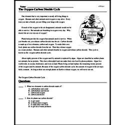 carbon dioxide cycle worksheet