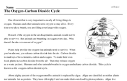 Print <i>The Oxygen-Carbon Dioxide Cycle</i> reading comprehension.