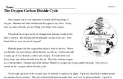 carbon dioxide cycle worksheet