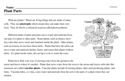 Print <i>Plant Parts</i> reading comprehension.