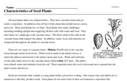 Print <i>Characteristics of Seed Plants</i> reading comprehension.