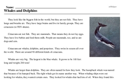 Print <i>Whales and Dolphins</i> reading comprehension.