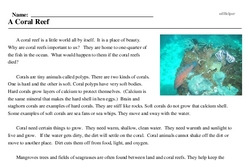 Print <i>A Coral Reef</i> reading comprehension.