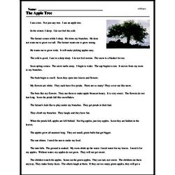 Print <i>The Apple Tree</i> reading comprehension.