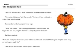 Print <i>The Pumpkin Race</i> reading comprehension.